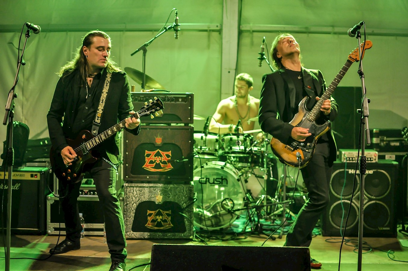 Divlje Jagode (3).jpg