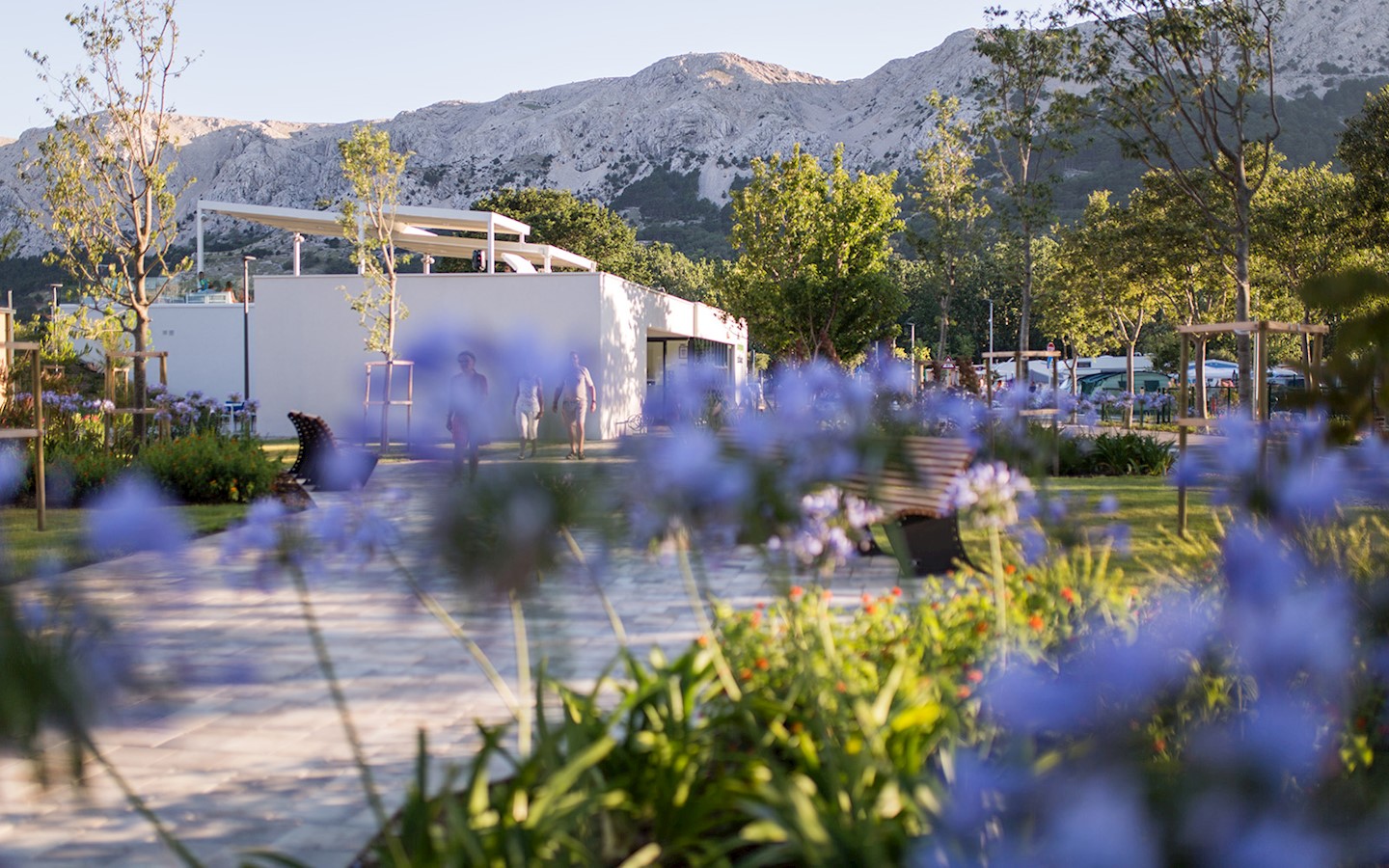 Valamar kamp-Zablace (2 ).jpg