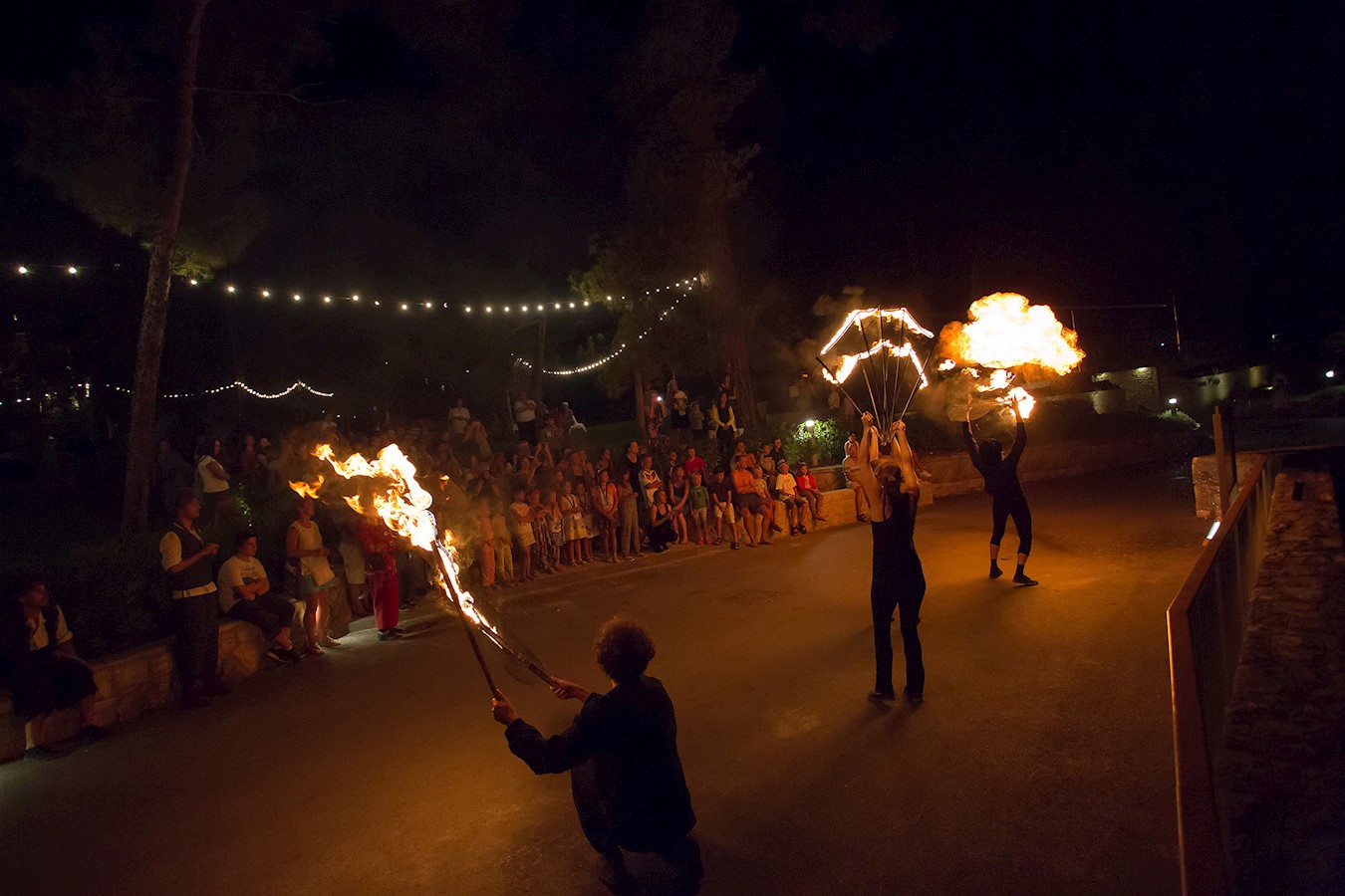 Fire show_manuel_paljuh.jpg