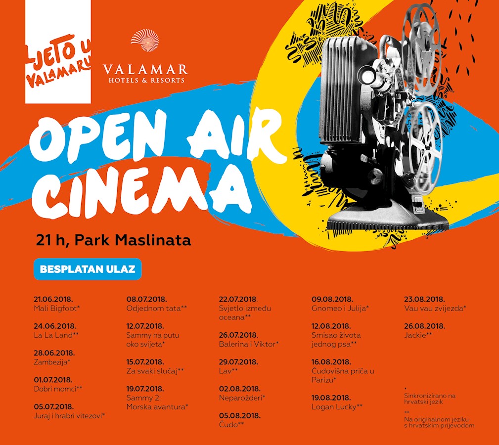 Open air Cinema 2018.jpg