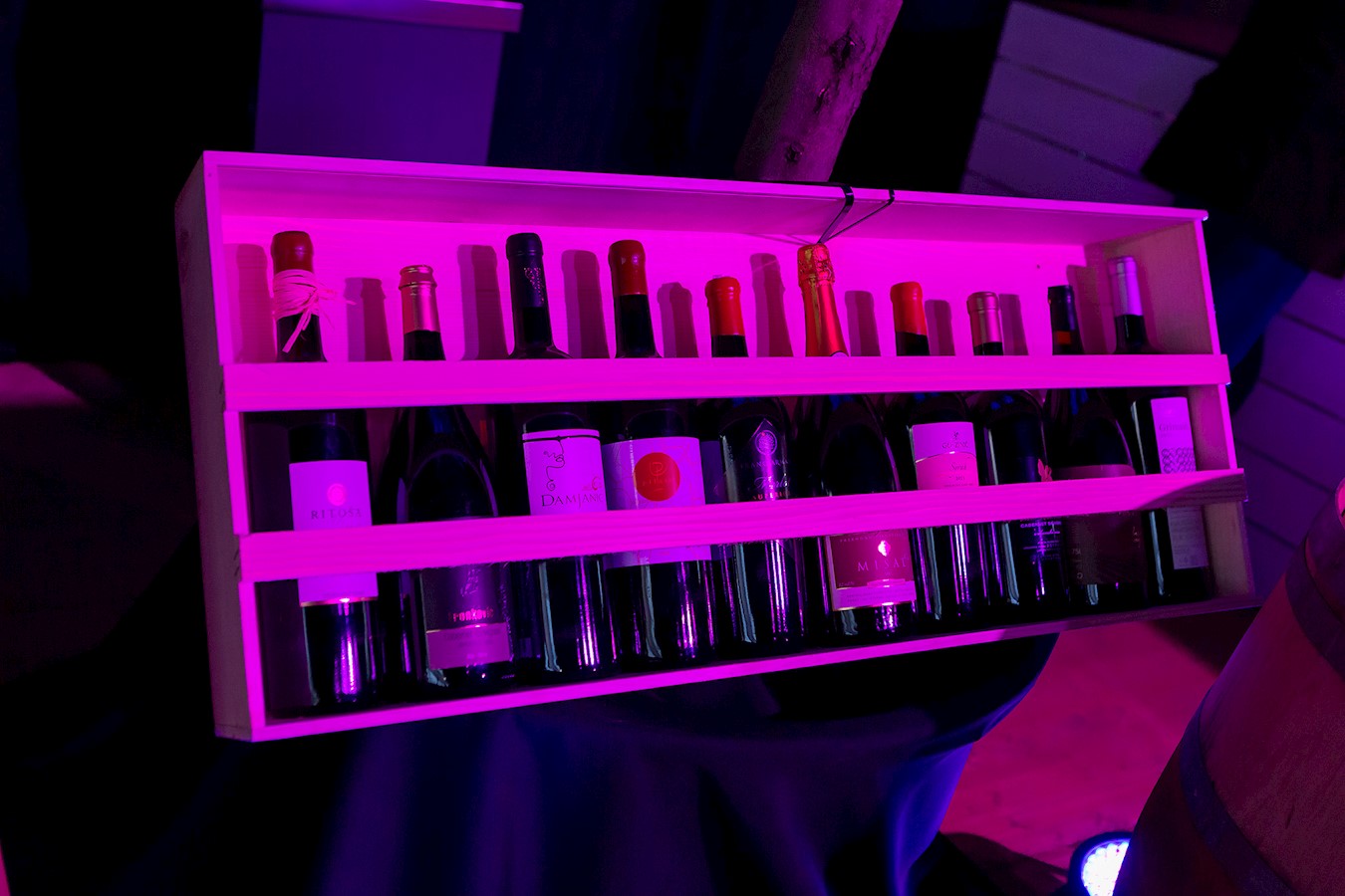 Wine Nights Poreč_Foto by Manuel Paljuh_1.jpg