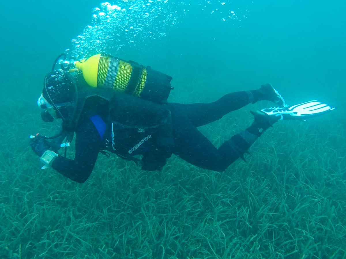 Valamar - RK Dubrovnik (8).jpg