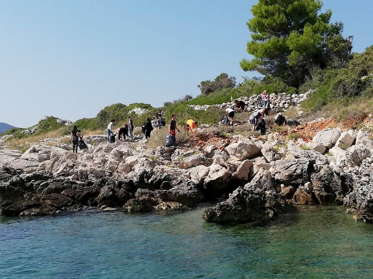 Valamar_Green Sea Safari (1).jpg