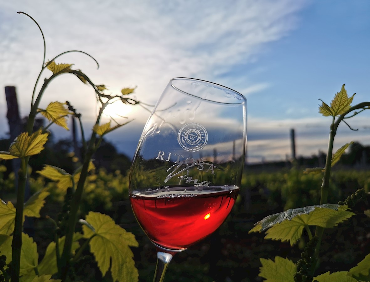 Ritoša vina 2.jpg