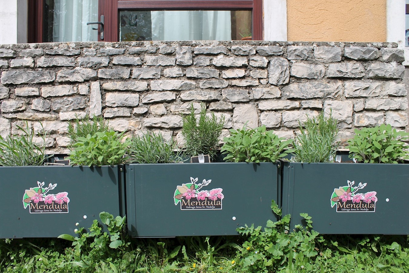 Edukativni projekt o uzgoju začinskog bilja.JPG