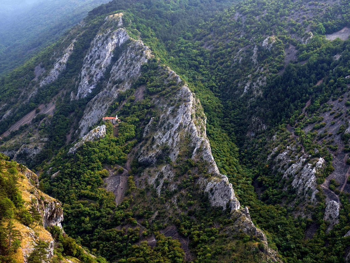 Bojan Bonifačić.jpg