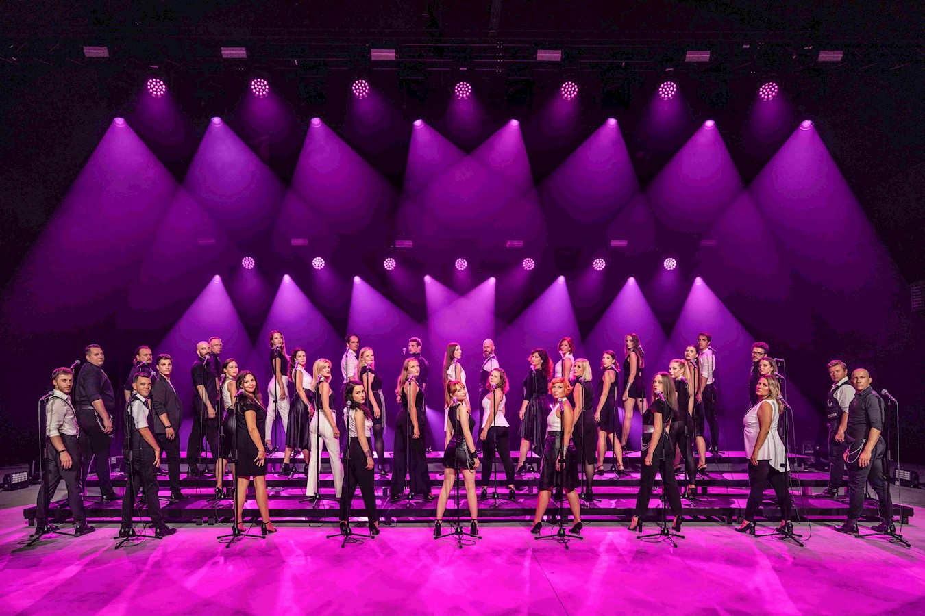 Perpetuum Jazzile.jpg